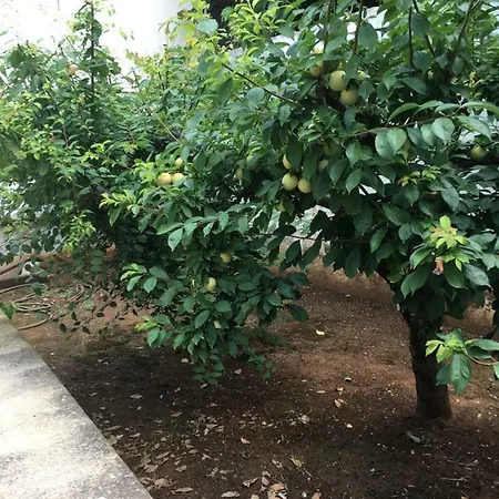 Casa vacanze Casa Vicino Mare